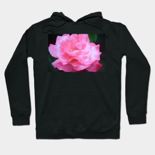 Rose 384 Hoodie